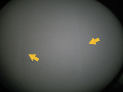 Unevenness in coating being used becomes visible (indicated by arrow)” width=