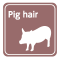 Pig hair” width=