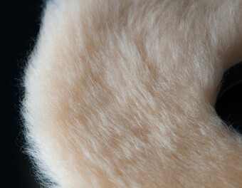 Lambswool Pads